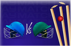 Cricket